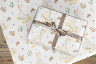 Wrapping Paper - Rabbit spring garden
